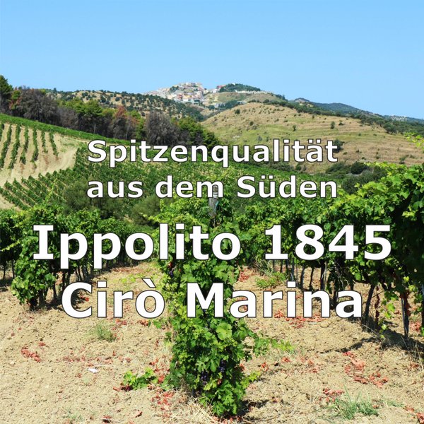 Ippolito 1845, Wein aus Cirò Marina Kalabrien