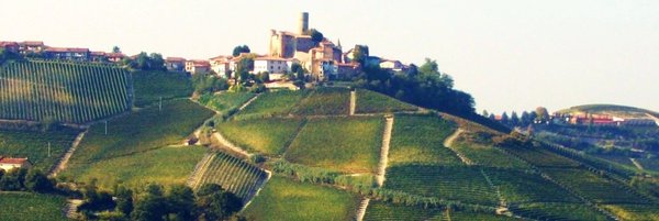 Wein aus dem Piemont