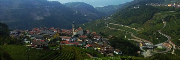 Wein aus dem Trentino