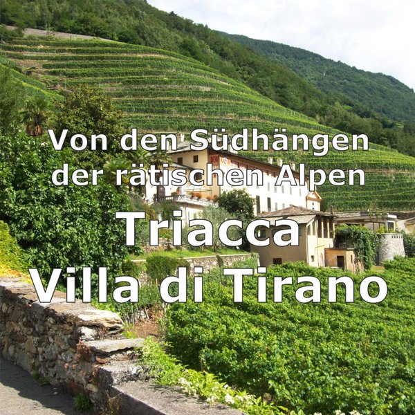 Triacca, Weine aus dem Valtellina